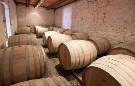 Domaine la Maurine – Maison 19ème siècle, 8 pers. : photo 37