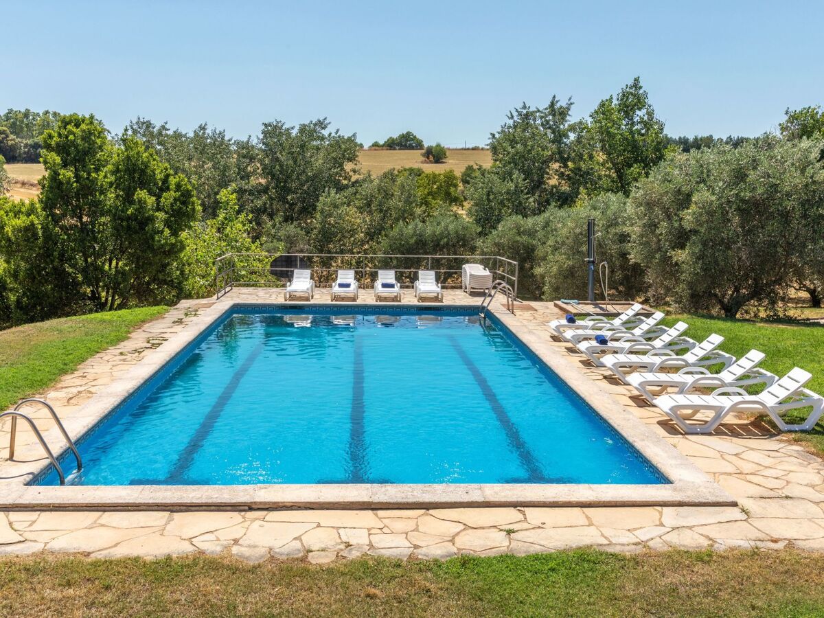Finca el Olivar – Villa 8 chambres, piscine, 1 ha - Photo 51