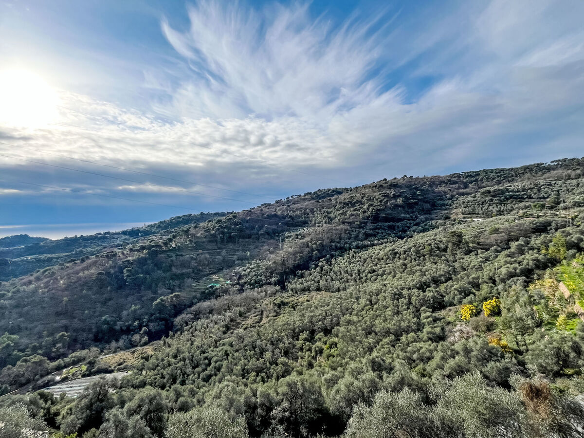 Cà Ninin de Bernà, maison rénovée 8 pers. Lingueglietta - Photo 8
