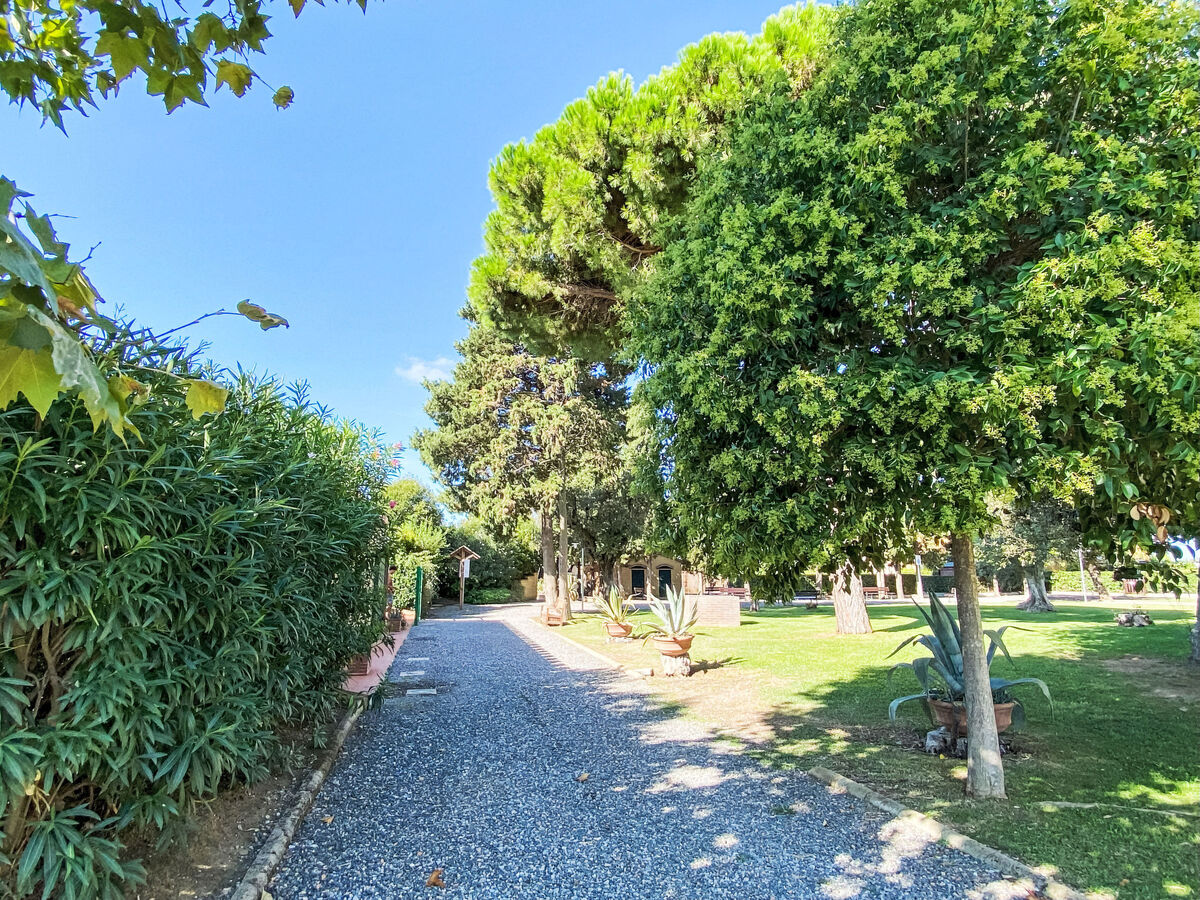 Cinquantina – Appartement 55 m² à Cecina avec piscine - Photo 30