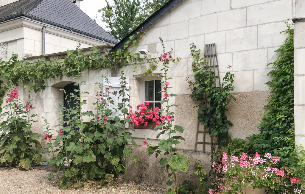 Petite maison moderne 35 m² à Loches avec terrasse - Photo 10