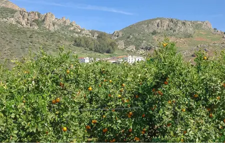 Maison 6 personnes à Malaga - Photo 26