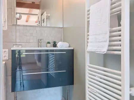 Maison La Bétaudière – Île d'Oléron, jardin et terrasse 70 m² : photo 20