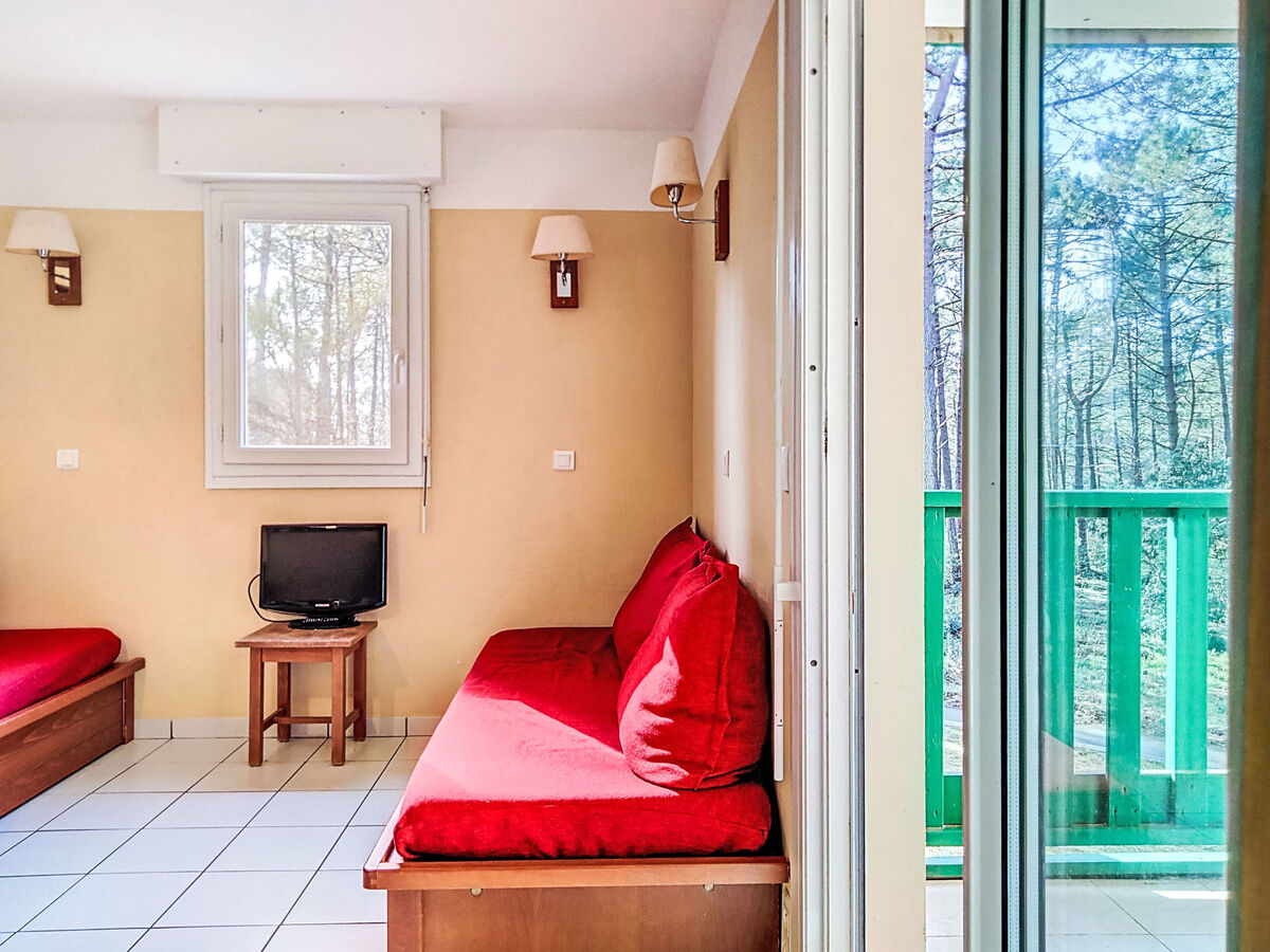 Les Grands Pins - Appartement 2 pièces vue forêt - Photo 1