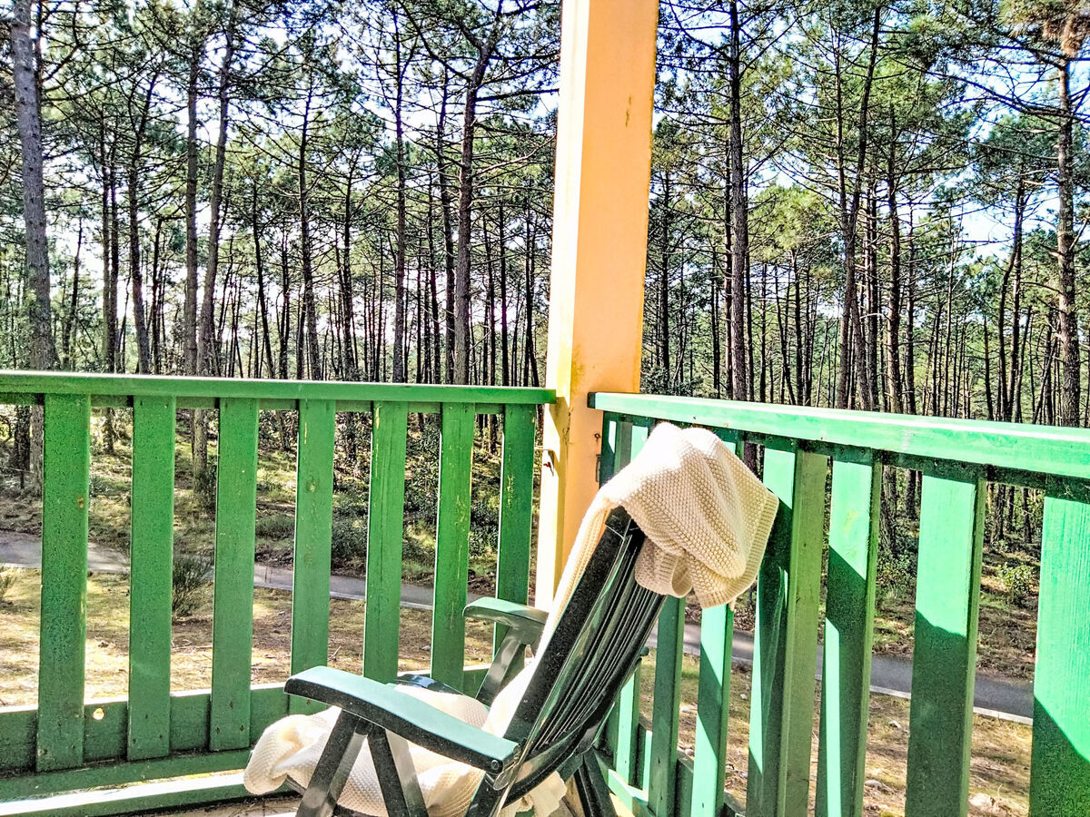 Les Grands Pins - Appartement 2 pièces vue forêt - Photo 15