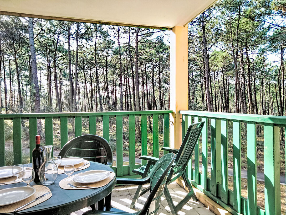 Les Grands Pins - Appartement 2 pièces vue forêt - Photo 18