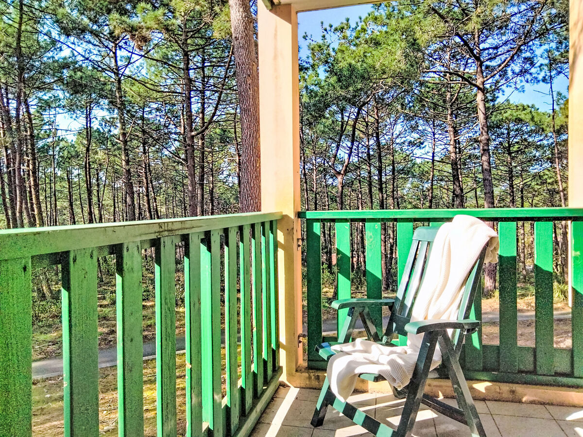 Les Grands Pins - Appartement 2 pièces vue forêt - Photo 19