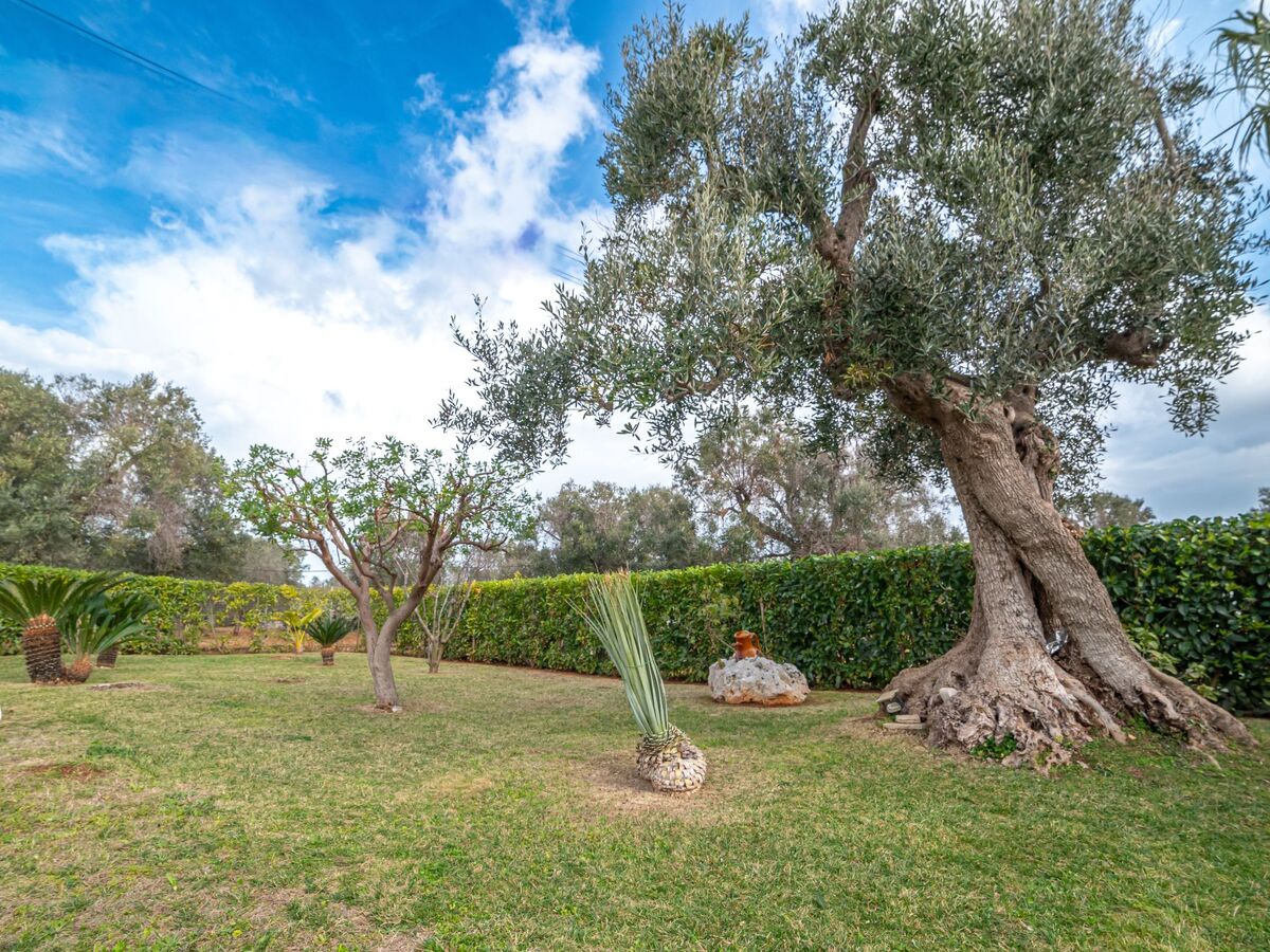 Trullo de Paolo – Maison 8 pers. Carovigno - Photo 23