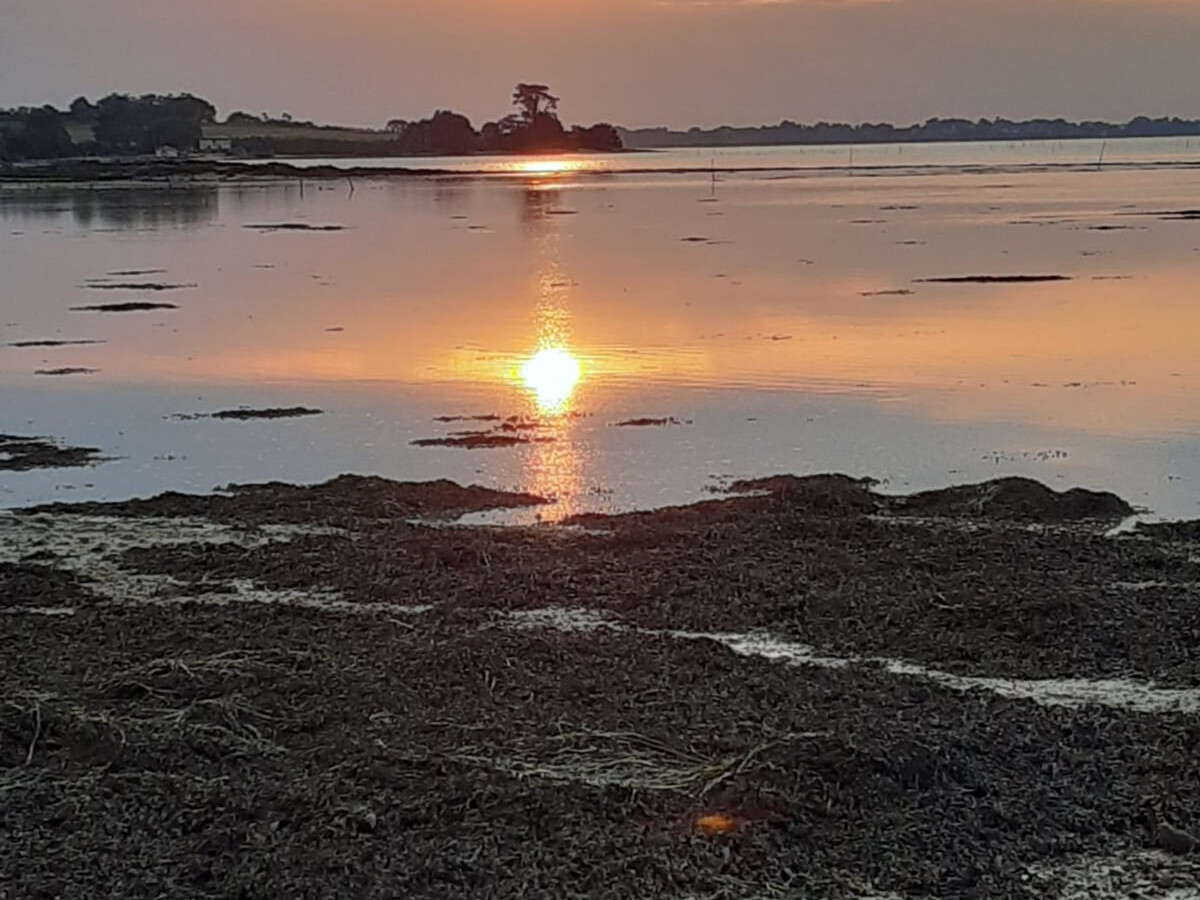 Maison de pêcheur rénovée, golfe du Morbihan à 250m - Photo 26