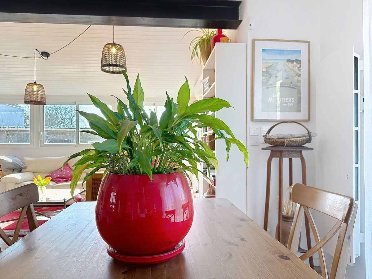 Les Rainettes – Maison 3 pièces, 650 m de la mer - Photo 9