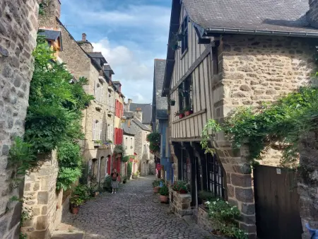Maison Elioluaso à Tréguier, 3 chambres, vue rivière : photo 36