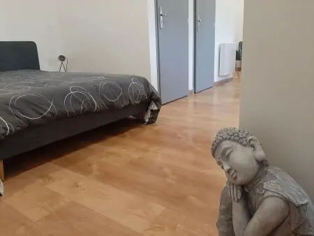 Studio 32 m² avec terrasse et barbecue à Barzy-en-Thiérache : photo 10