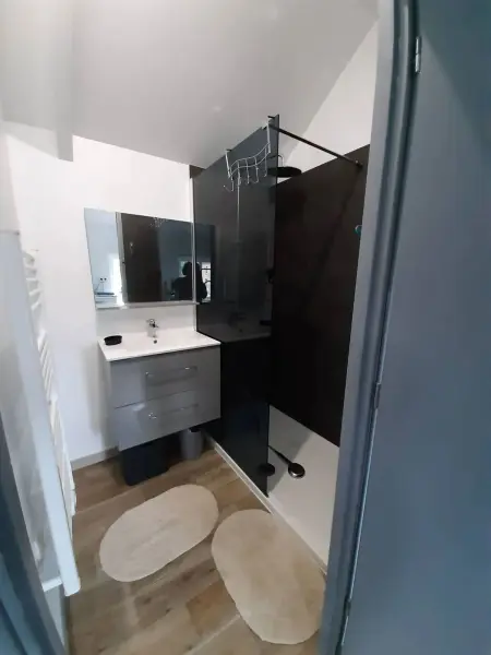 Studio 32 m² avec terrasse et barbecue à Barzy-en-Thiérache : photo 12