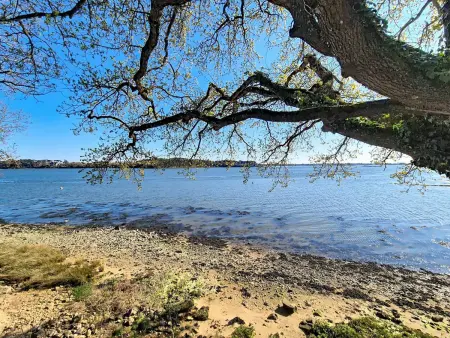 Villa 6 pers. pieds dans l'eau, Sainte-Hélène : photo 27