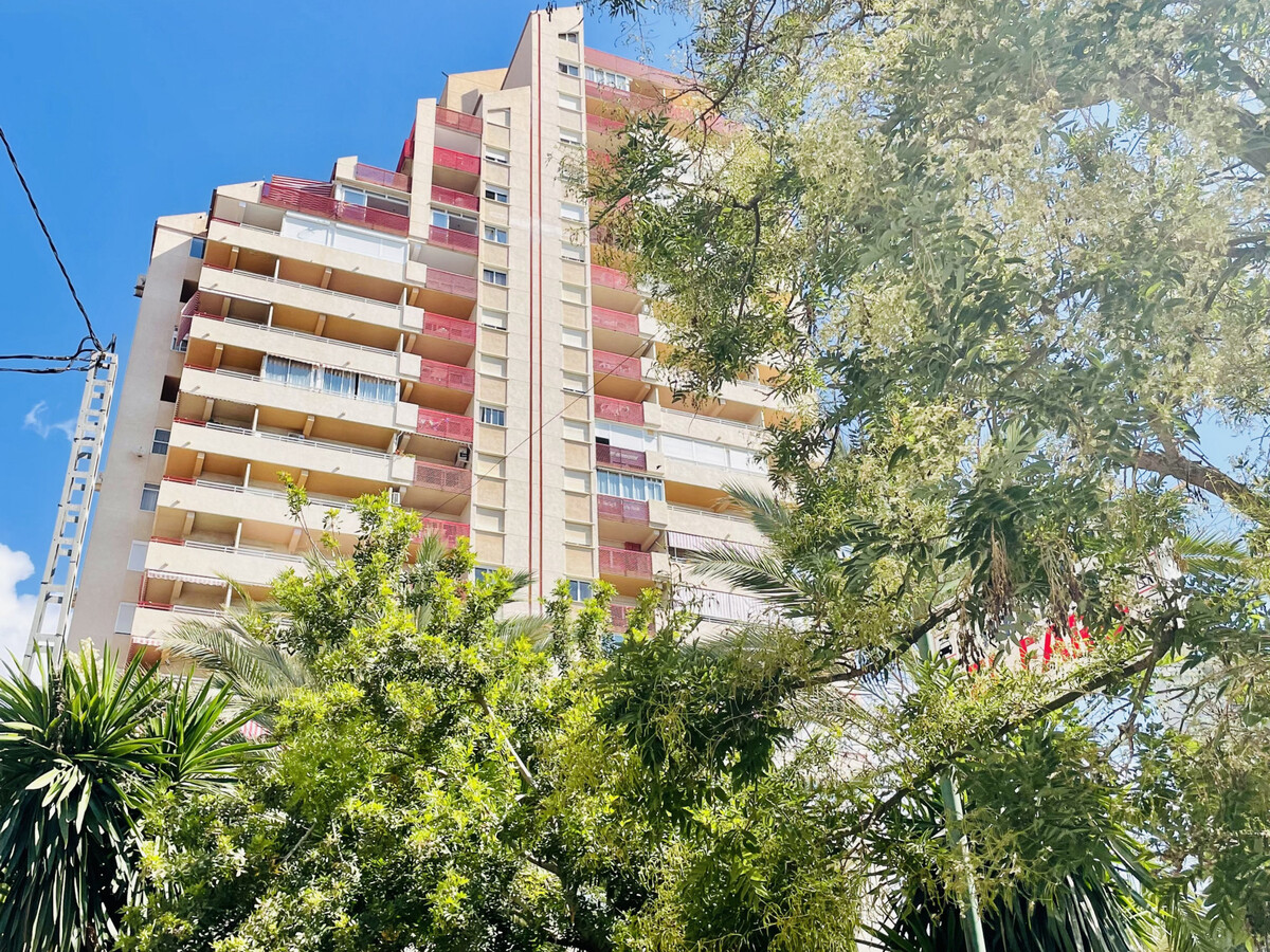 Appartement 4P vue mer et terrasse à Benidorm - Photo 30