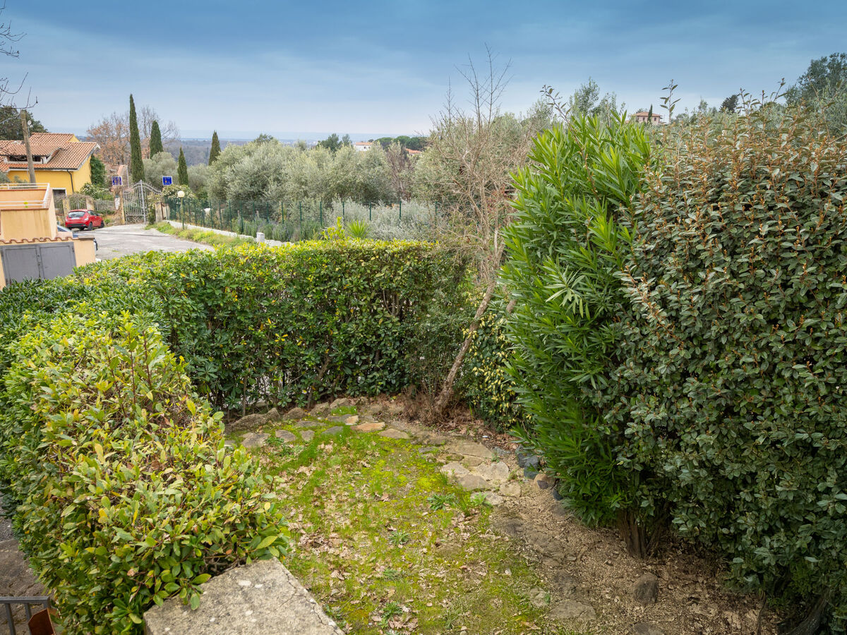 Casa Lucia – Studio 50 m² avec terrasse à Montescudaio - Photo 5