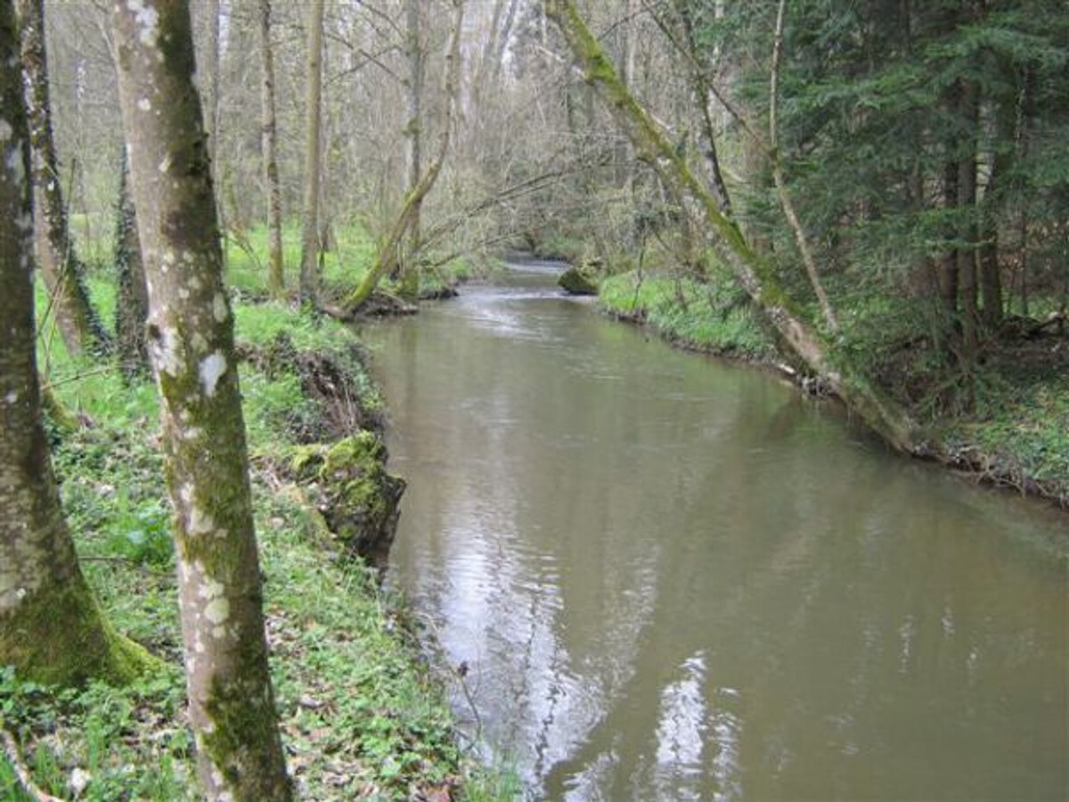 Gîte 110 m² au bord de la rivière - 6 personnes - Photo 22