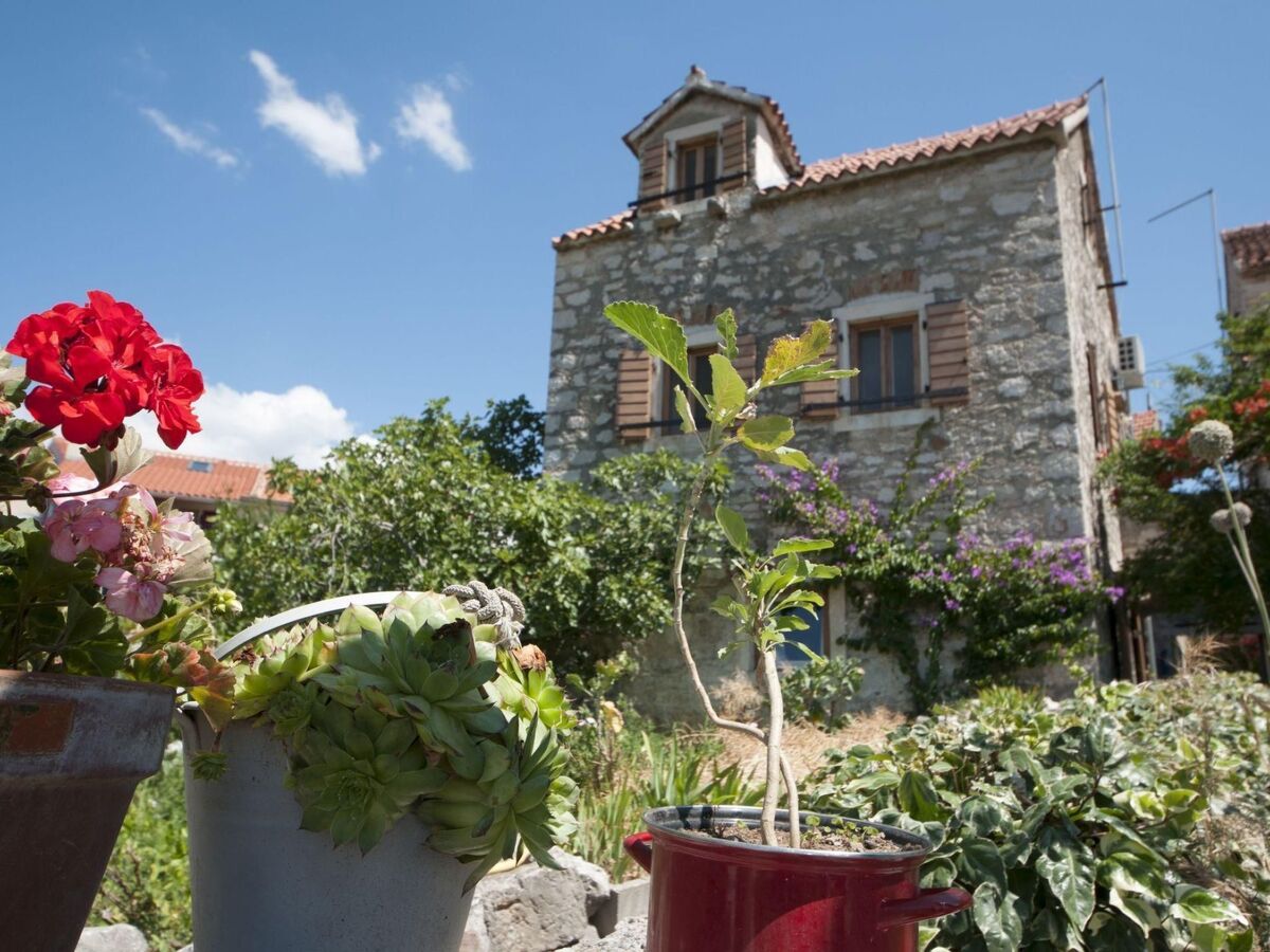 Maison en pierre dalmate sur Zlarin avec jardin - Photo 3