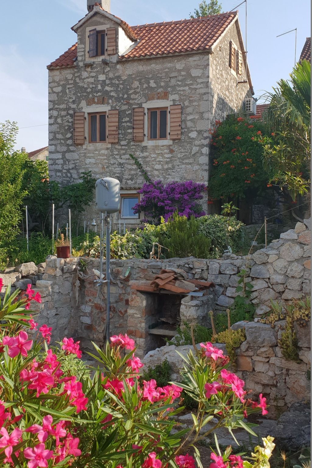 Maison en pierre dalmate sur Zlarin avec jardin - Photo 4