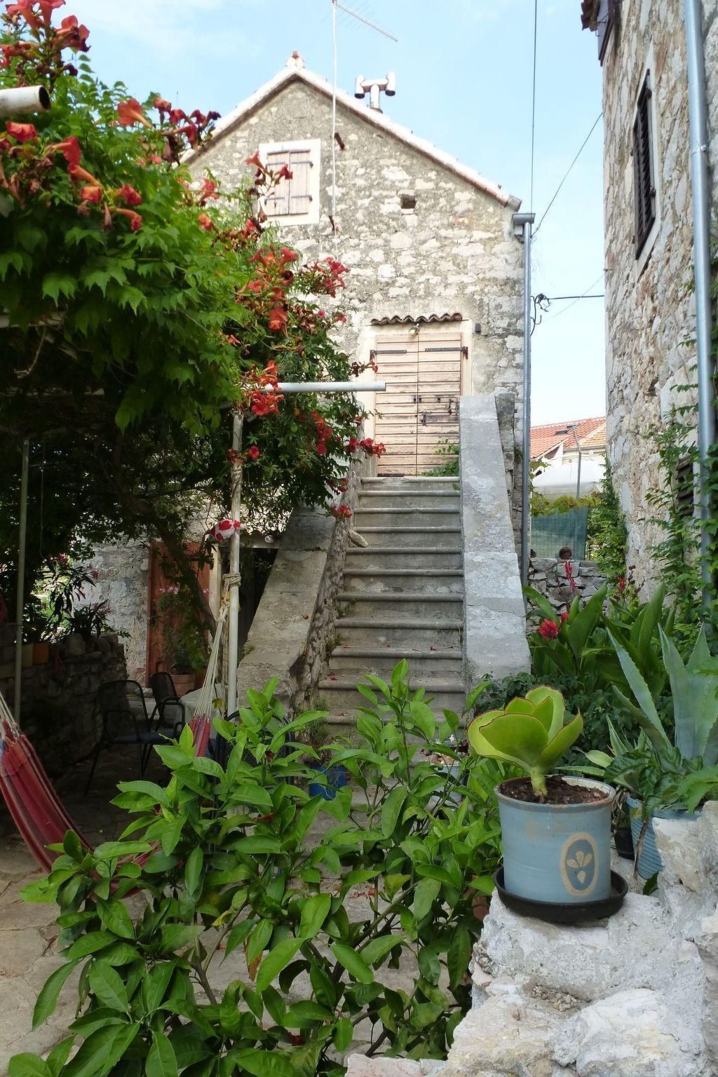 Maison en pierre dalmate sur Zlarin avec jardin - Photo 8