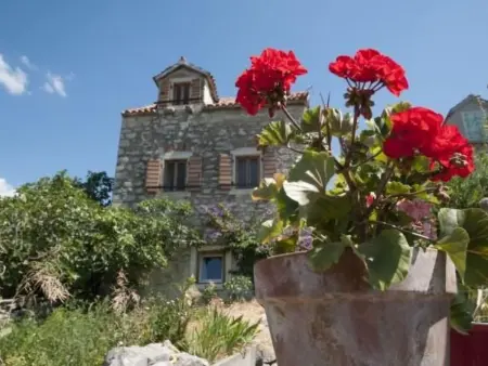 Maison en pierre dalmate sur Zlarin avec jardin
