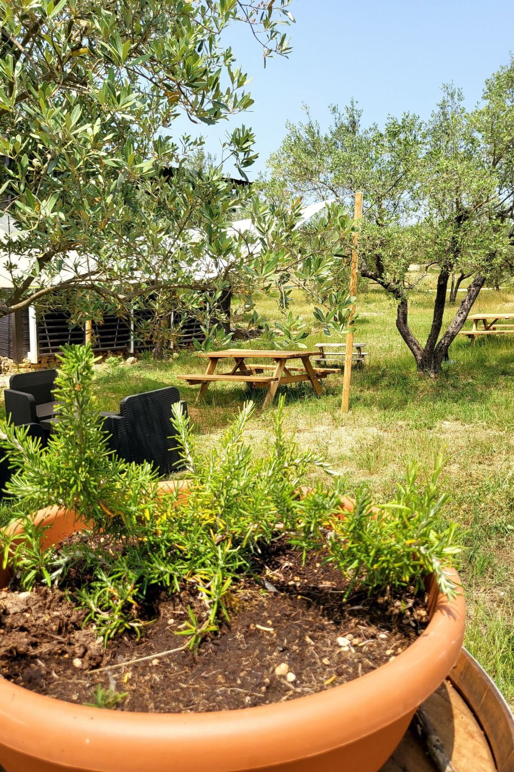 Bungalow Lavanda avec jacuzzi privé à Arezzo - Photo 8