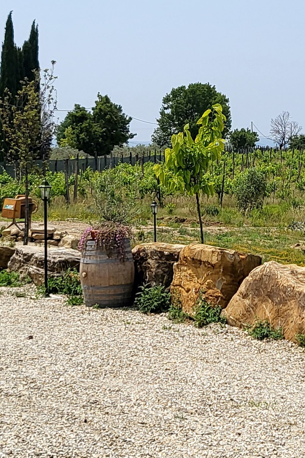 Bungalow Lavanda avec jacuzzi privé à Arezzo - Photo 12