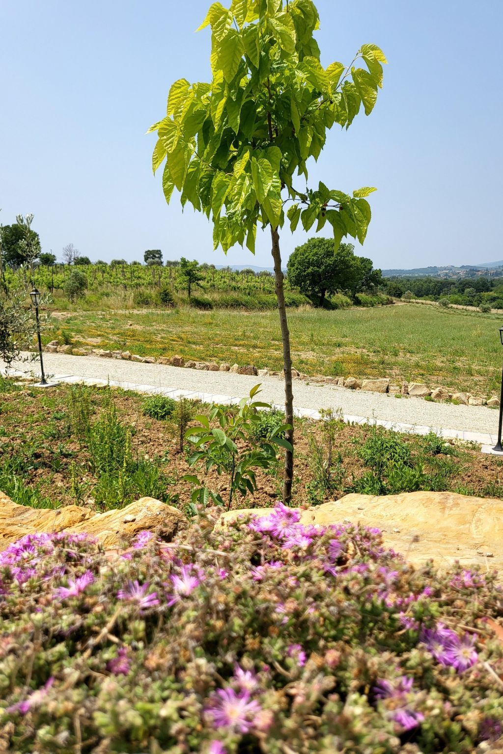 Bungalow Lavanda avec jacuzzi privé à Arezzo - Photo 13