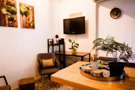 Appartement 28 m² avec entrée privée au cœur de Troyes : photo 11