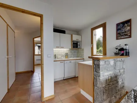Appartement 45m² balcon sud, 500m des pistes : photo 6