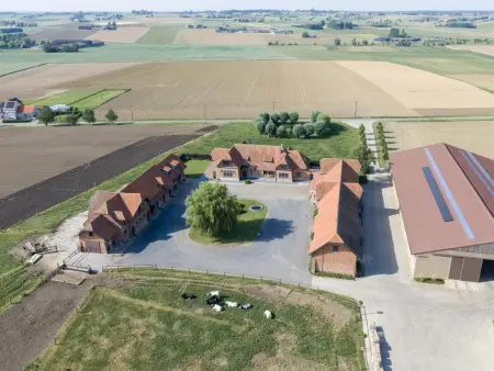 Maison de ferme Rozenberghoeve, 10 pers., jardin clos à Ploegsteert : photo 59