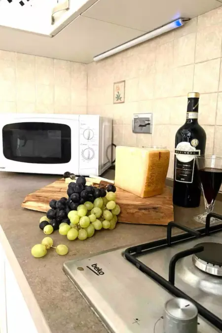 Appartement Florence avec jardin privé et bain à remous - Photo 18
