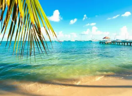 Location maison à Sainte Luce, Charmante maison à Sainte-Luce avec vue sur la mer