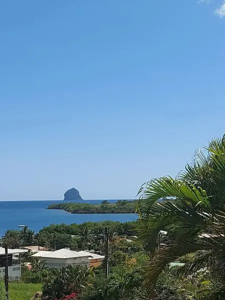 Maison avec vue mer et terrasse à Sainte-Luce, Martinique : photo 11