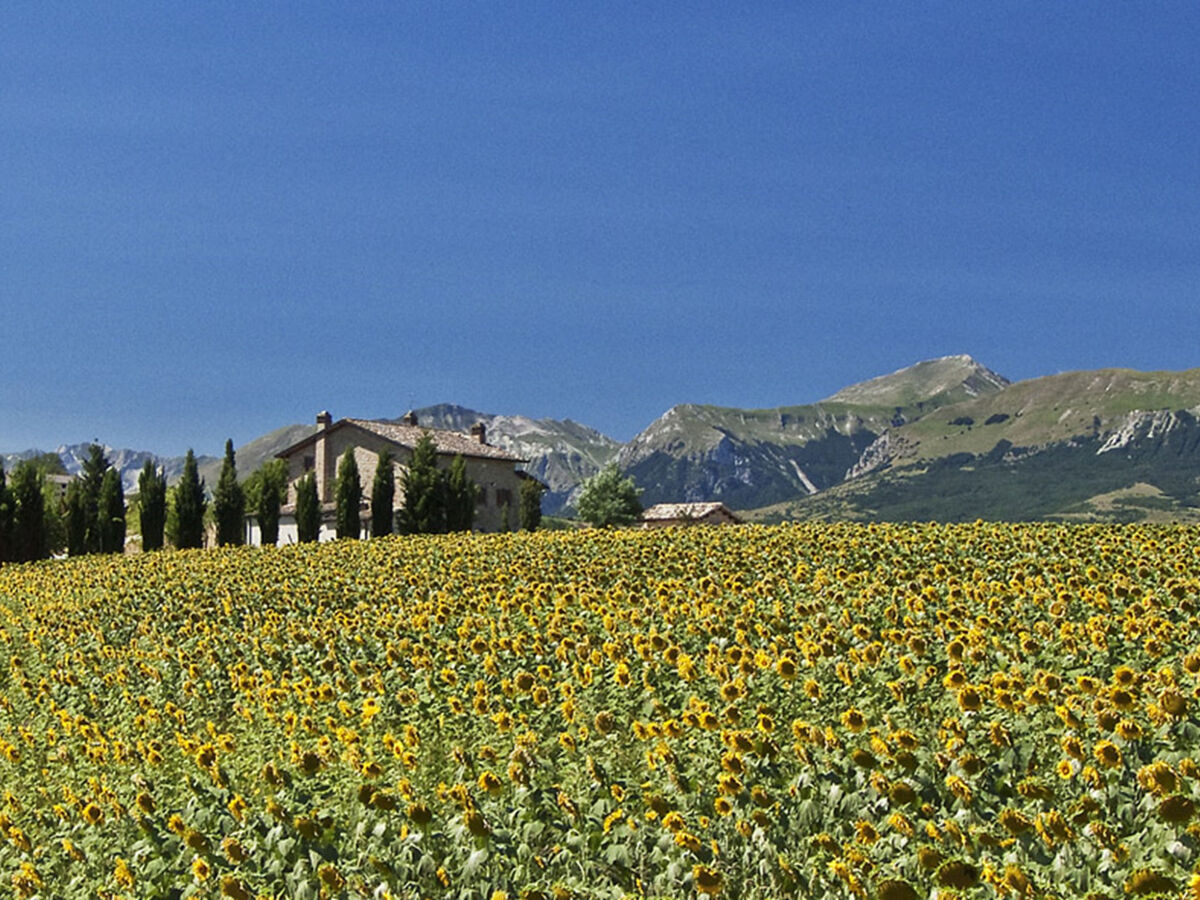 Il Casolare e il Fienile, gîte 14 pers. avec piscine - Photo 62