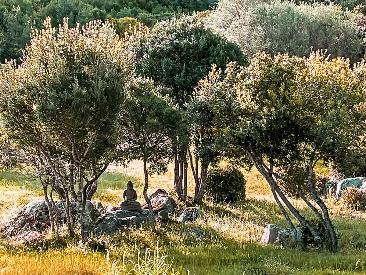 Nel Bosco, maison rustique 80 m² à Porto San Paolo - Photo 18