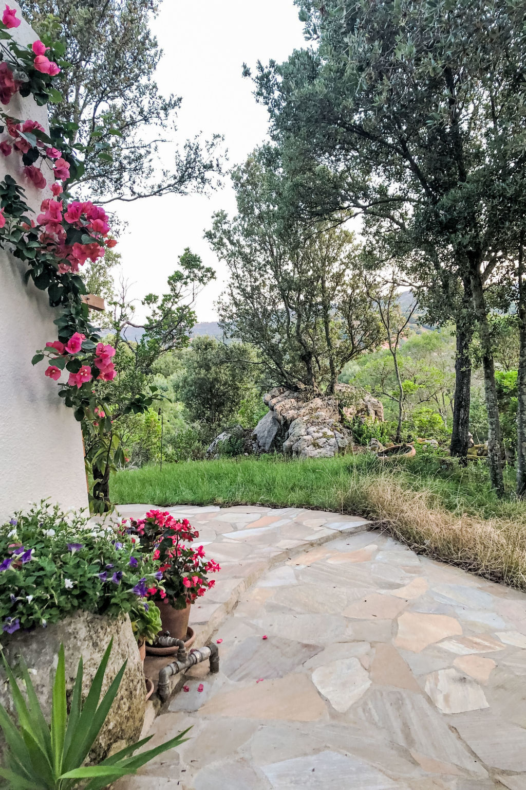 Nel Bosco, maison rustique 80 m² à Porto San Paolo - Photo 25