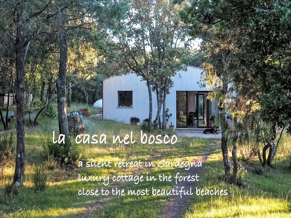 Nel Bosco, maison rustique 80 m² à Porto San Paolo - Photo 29