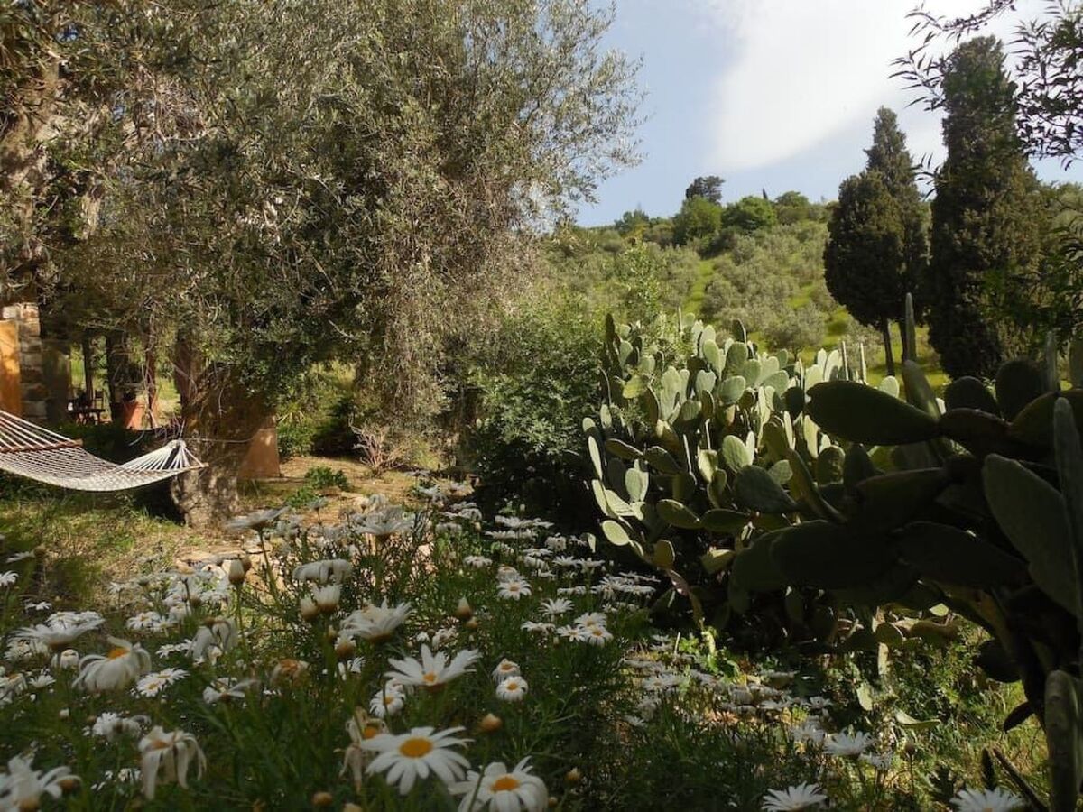 Maison en pierre de 1800 dans les Madonie, Castelbuono - Photo 17