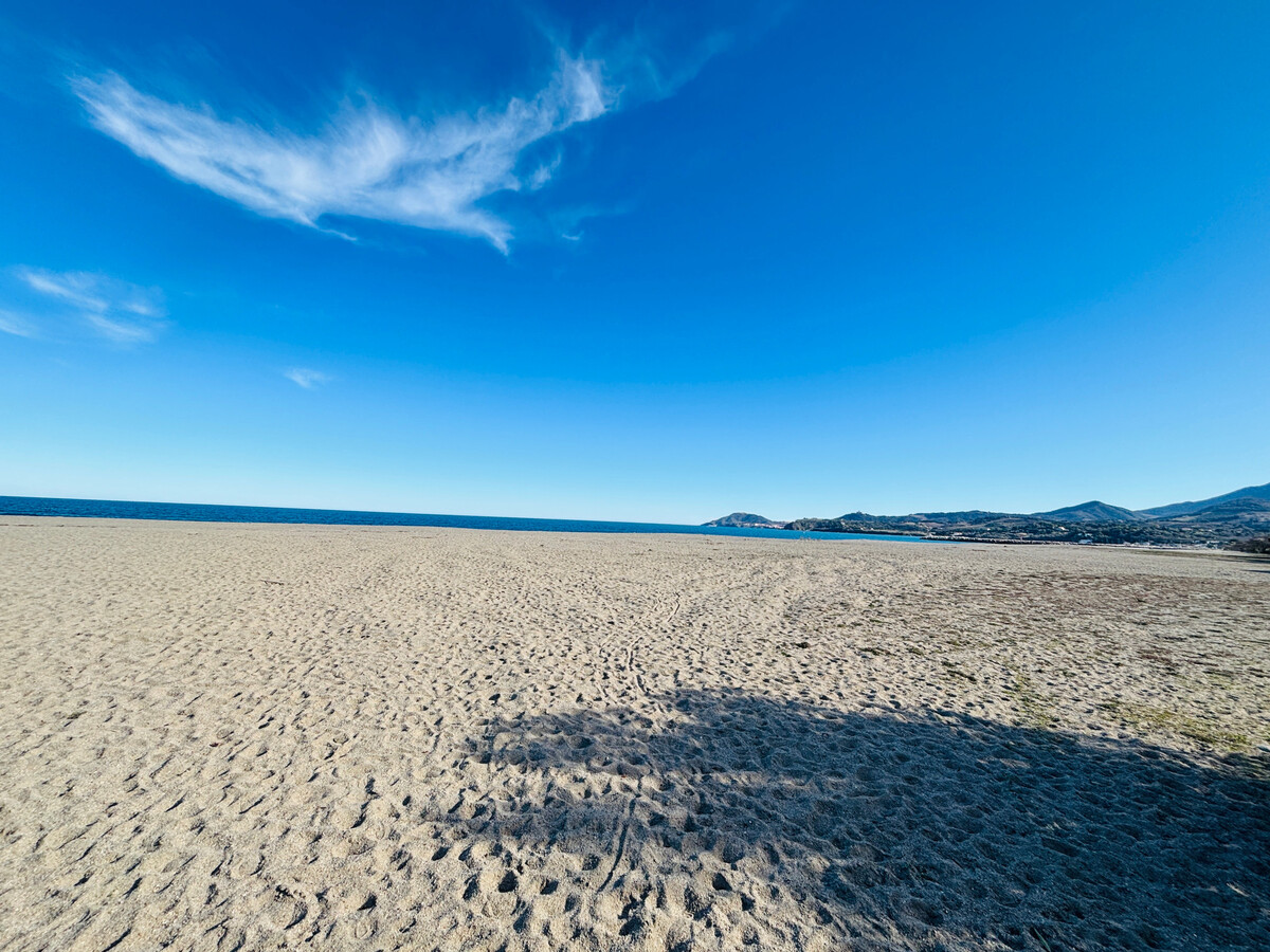 T2 plage d'Argelès avec parking et piscine - Photo 1