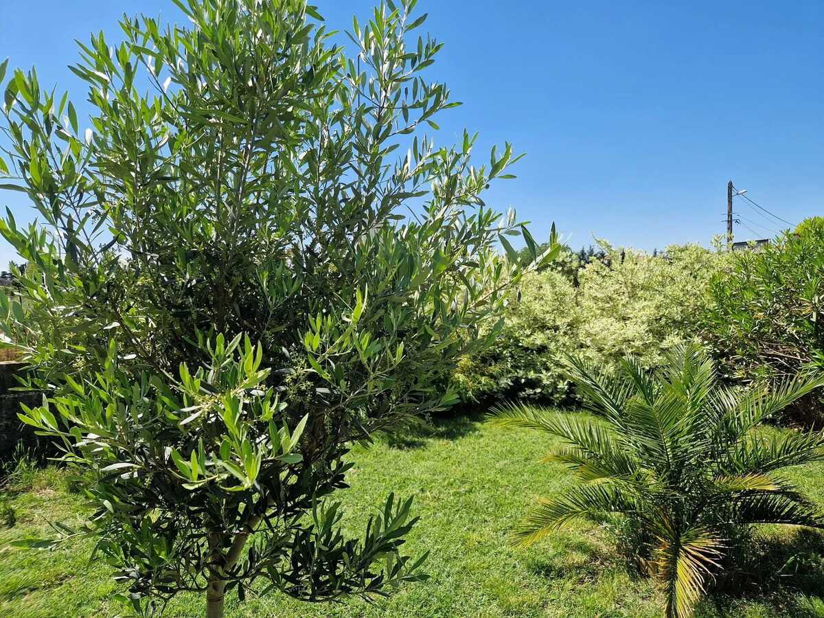 Maison 40 m² jardin privé à Pierrelatte - Photo 41