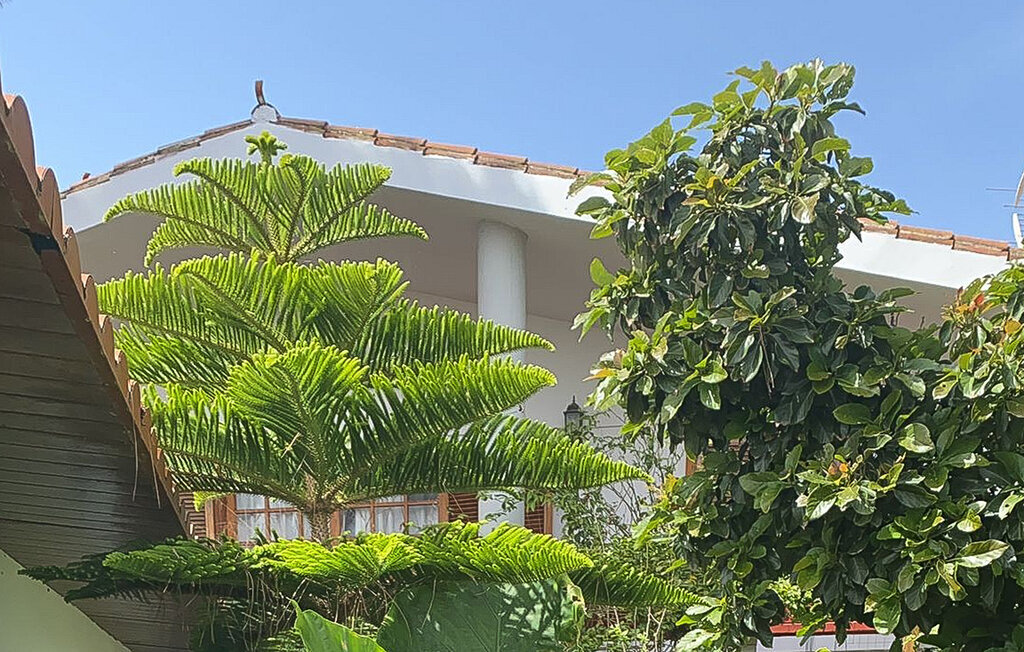 Los Viejitos en Firgas, Maison 3 personnes à Firgas - Photo 13