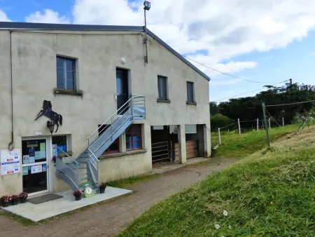 Gîte au centre équestre du Vernet, vue sur chevaux : photo 14