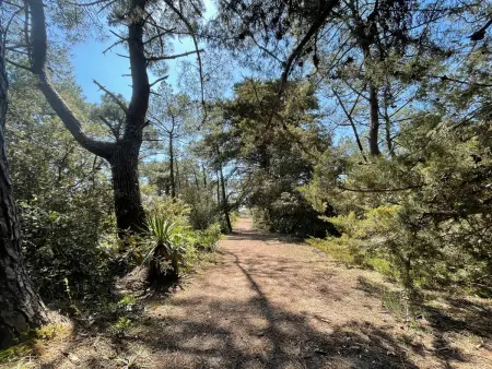 Maisonnette 5 pers, 500 m plage, animaux admis : photo 8