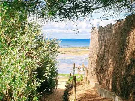 La Brée 3 - Maison 2 pièces à 400 m de la plage : photo 2