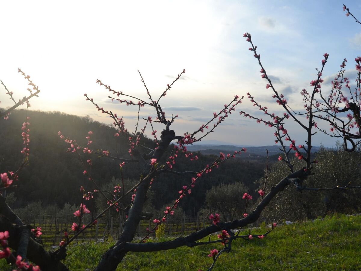 Appartement Leonardo - Ferme historique, jardin privé - Photo 22