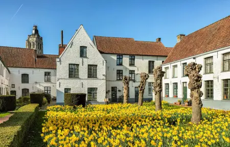 Maison 10 personnes à Oudenaarde - Photo 35