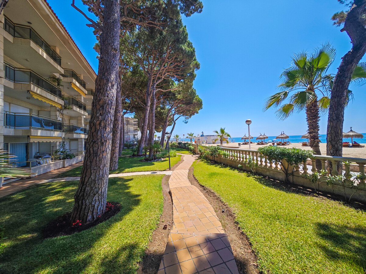 Appartement Versailles face mer, 4 pers, terrasse - Photo 9