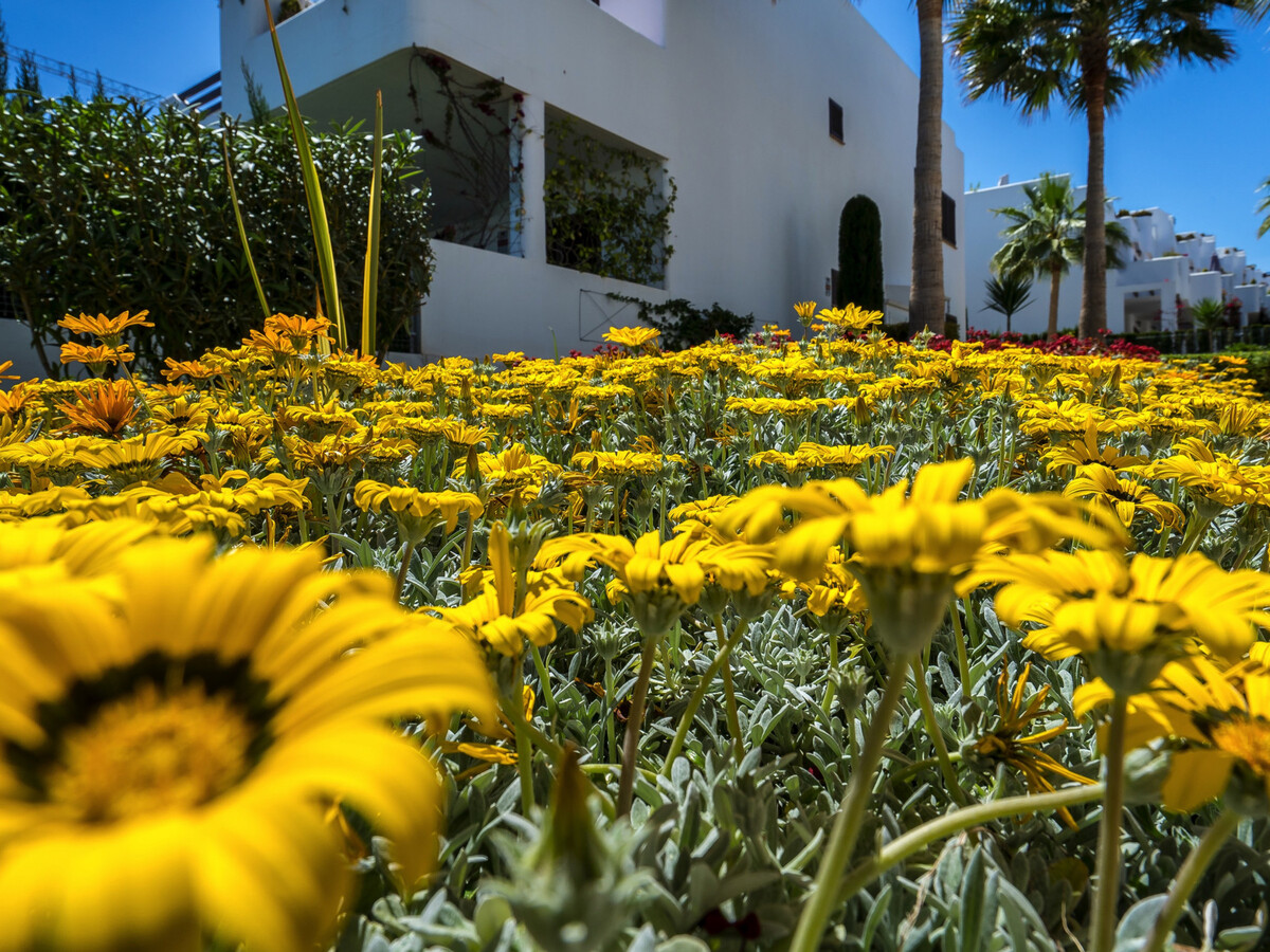 Appartement 6 pers. vue mer à San Juan de los Terreros - Photo 30