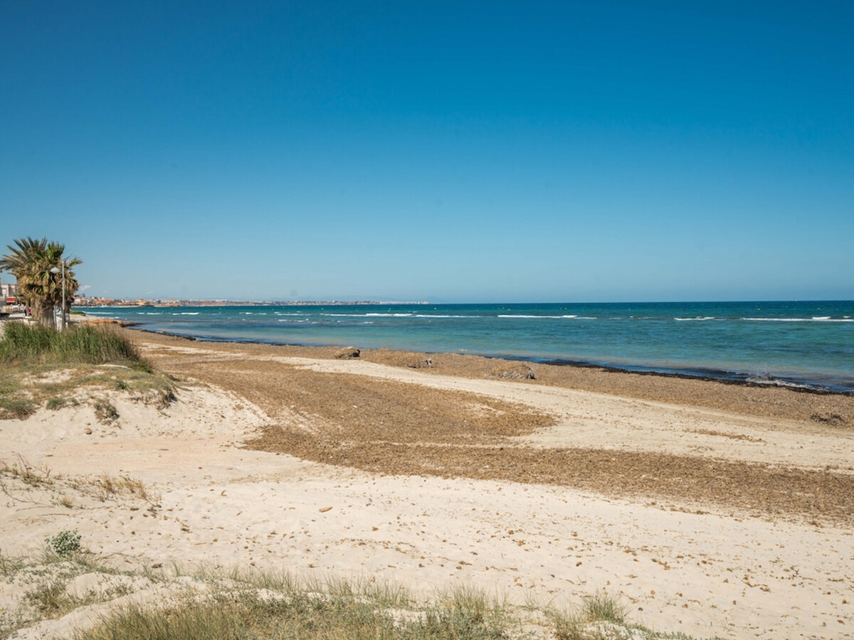Villa 3 chambres piscine privée, vue mer à San Miguel - Photo 32
